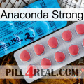 Anaconda Strong new14